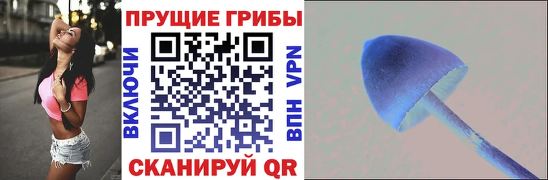 Галлюциногенные грибы Psilocybine cubensis  площадка формула  Дедовск 
